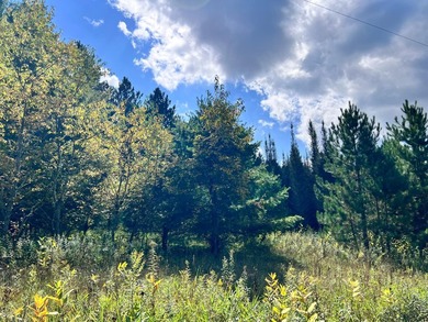 The Perfect Northwoods Retreat Awaits!Lot 3 on Black Bear - photo 3
