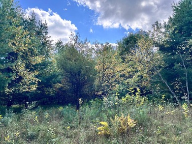 The Perfect Northwoods Retreat Awaits!Lot 3 on Black Bear - photo 4