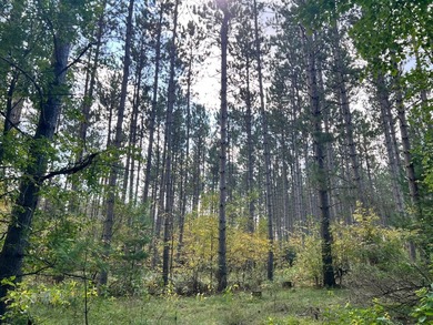 The Perfect Northwoods Retreat Awaits!Lot 3 on Black Bear - photo 5