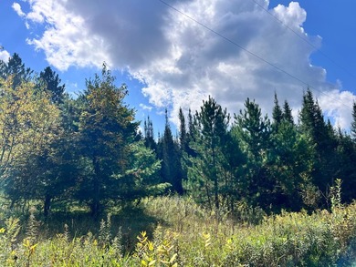 The Perfect Northwoods Retreat Awaits!Lot 3 on Black Bear - photo 6
