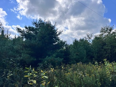 The Perfect Northwoods Retreat Awaits!Lot 3 on Black Bear - photo 7