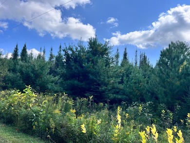 The Perfect Northwoods Retreat Awaits!Lot 3 on Black Bear - photo 9