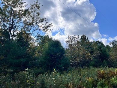 The Perfect Northwoods Retreat Awaits!Lot 3 on Black Bear - photo 10