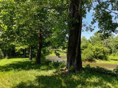 Osceola Missouri Home For Sale - photo 28