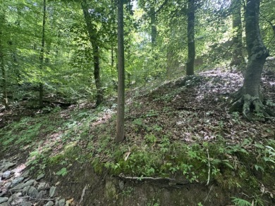 Waterfront Lot Near Nolin Dam - photo 9
