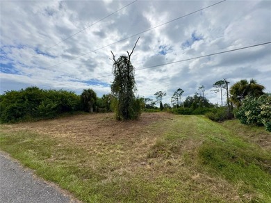 Cleared Fresh Water Canal Lot Ready for your new home. Electric - photo 4