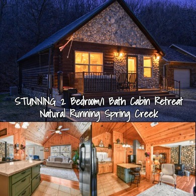 Table Rock Lake Home For Sale in Blue Eye Missouri