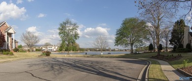 Custom 5BR/4.5BA home on a quiet cul-de-sac with hardwood floors - photo 10