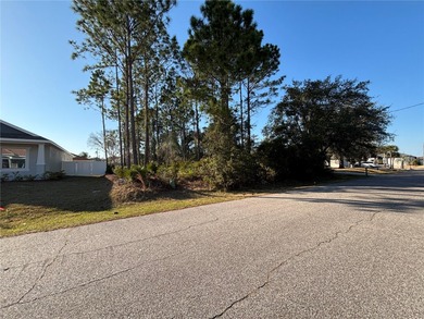Nice high and dry lot located in desirable location of F section - photo 3