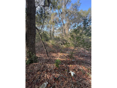 Bowers Lake Lot For Sale in Ocala Florida