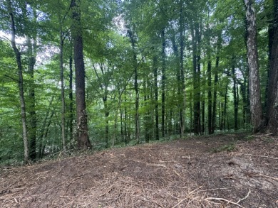 Waterfront Lot Near Nolin Dam - photo 2