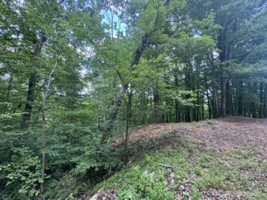 Waterfront Lot Near Nolin Dam - photo 3
