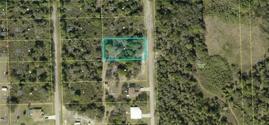 Lehigh Acres Area Lot For Sale in Lehigh Acres Florida