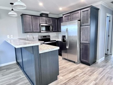 TAKE $10K OFF Listed Price!Welcome to this Brand New Palm Harbor - photo 3