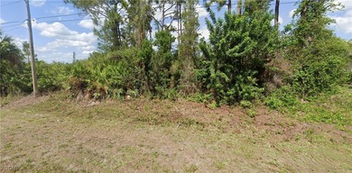 Lehigh Acres Area Lot For Sale in Lehigh Acres Florida