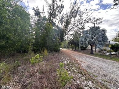 Great opportunity to build on this spacious double lot in - photo 3
