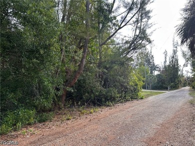 Great opportunity to build on this spacious double lot in - photo 4
