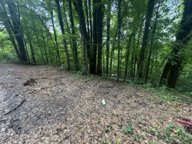 Waterfront Lot Near Nolin Dam - photo 1