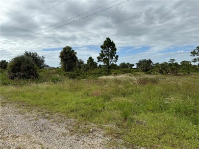 Lehigh Acres Area Lot For Sale in Lehigh Acres Florida