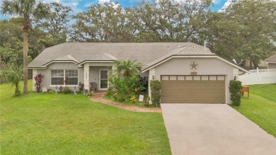 Lake Home For Sale in Orlando, Florida