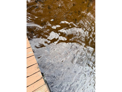 Welcome to the heart of the Northwoods! Beautiful 3bedroom - photo 8