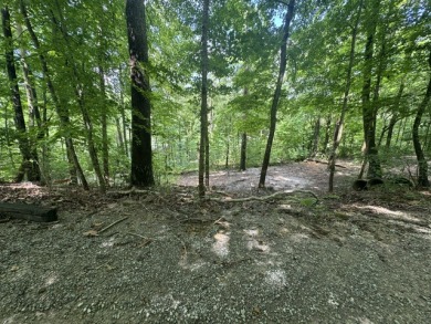 Waterfront Lot Near Nolin Dam - photo 10