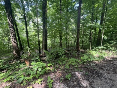 Waterfront Lot Near Nolin Dam - photo 7
