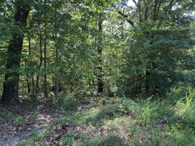 Lake Lot For Sale in Bella Vista, Arkansas