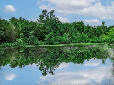 (private lake, pond, creek) Acreage For Sale in Palestine Texas