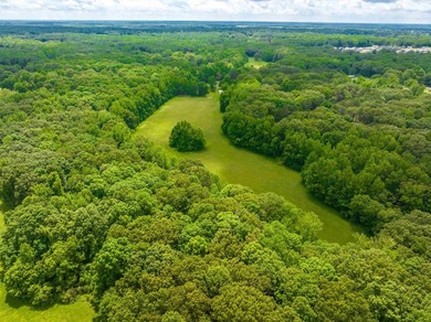 Lake Acreage For Sale in Somerville, Tennessee