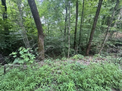 Waterfront Lot Near Nolin Dam - photo 5