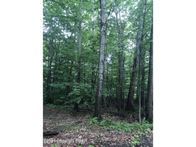 East Lake Lot For Sale in Pocono Lake Pennsylvania