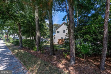 CAINE WOODS! Great lot to build your well-deserved beach house - photo 2