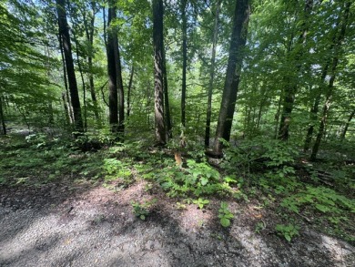 Waterfront Lot Near Nolin Dam - photo 6