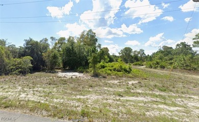 Lehigh Acres Area Lot For Sale in Lehigh Acres Florida