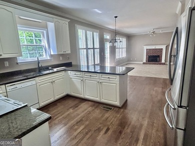 Welcome to life in Lake Redwine! This beautifully updated - photo 12
