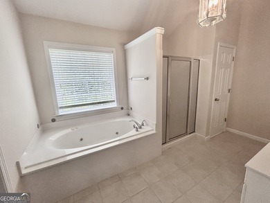 Welcome to life in Lake Redwine! This beautifully updated - photo 18