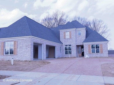 Garner Lake Home For Sale in Lakeland Tennessee