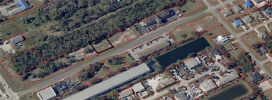 land on Pine Island Rd with Commercial Corridor District zoning - photo 1