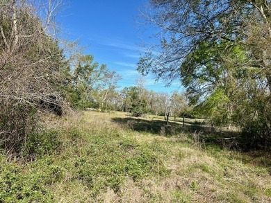 9.052 Acres - Open Pasture, Pond, and Barn - $135,000 Excellent - photo 5