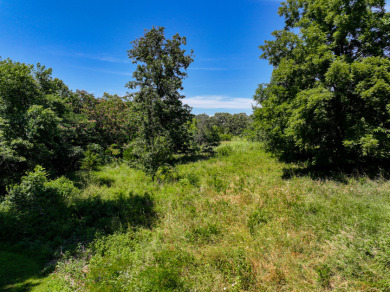 Osceola Missouri Home For Sale - photo 16