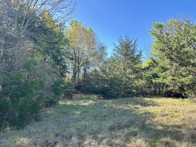 9.052 Acres - Open Pasture, Pond, and Barn - $135,000 Excellent - photo 6