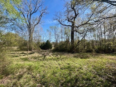 9.052 Acres - Open Pasture, Pond, and Barn - $135,000 Excellent - photo 8
