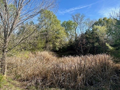 9.052 Acres - Open Pasture, Pond, and Barn - $135,000 Excellent - photo 10