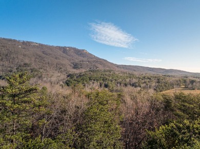 Lake Acreage For Sale in Landrum, South Carolina