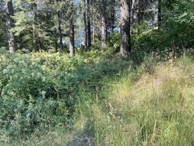 Lake Lot For Sale in Loon Lake, Washington