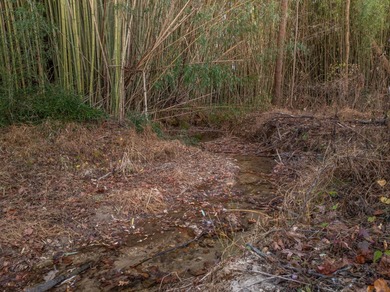 Additional listing photo 2
