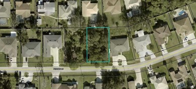 Rare double lot opportunity in desirable F section of Palm Coast - photo 1