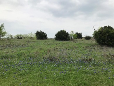 Lake Lot For Sale in Whitney, Texas