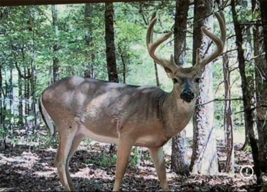 Lake Acreage For Sale in Uniontown, Arkansas
